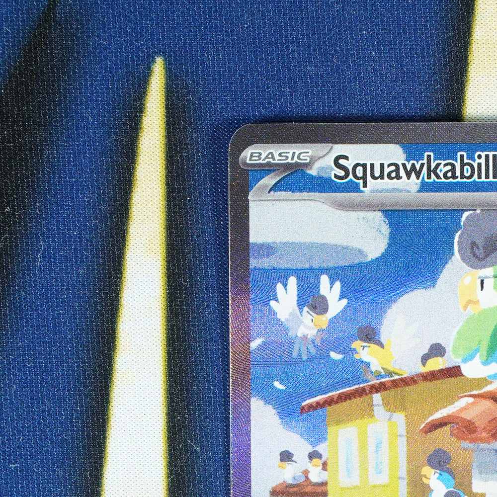 Squawkabilly EX PALDEA EVOLVED Special Illustration Rare 264/193 [M]