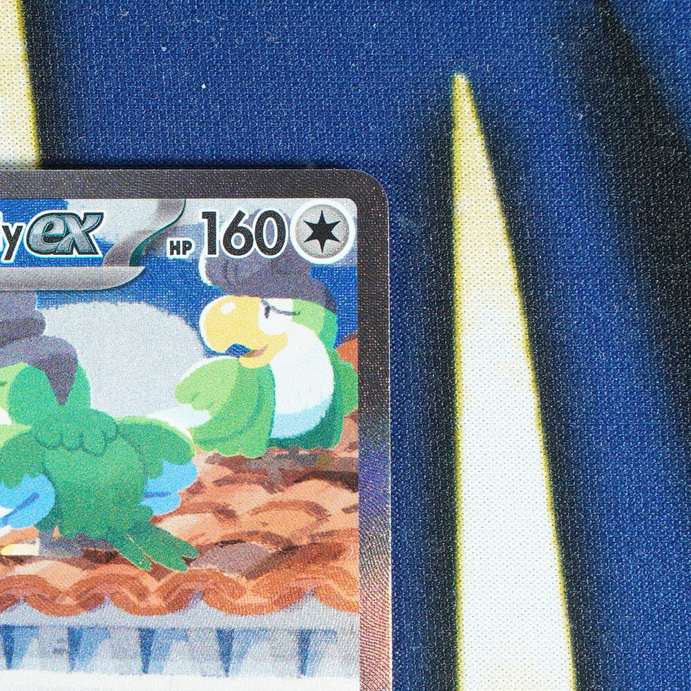 Squawkabilly EX PALDEA EVOLVED Special Illustration Rare 264/193 [M]