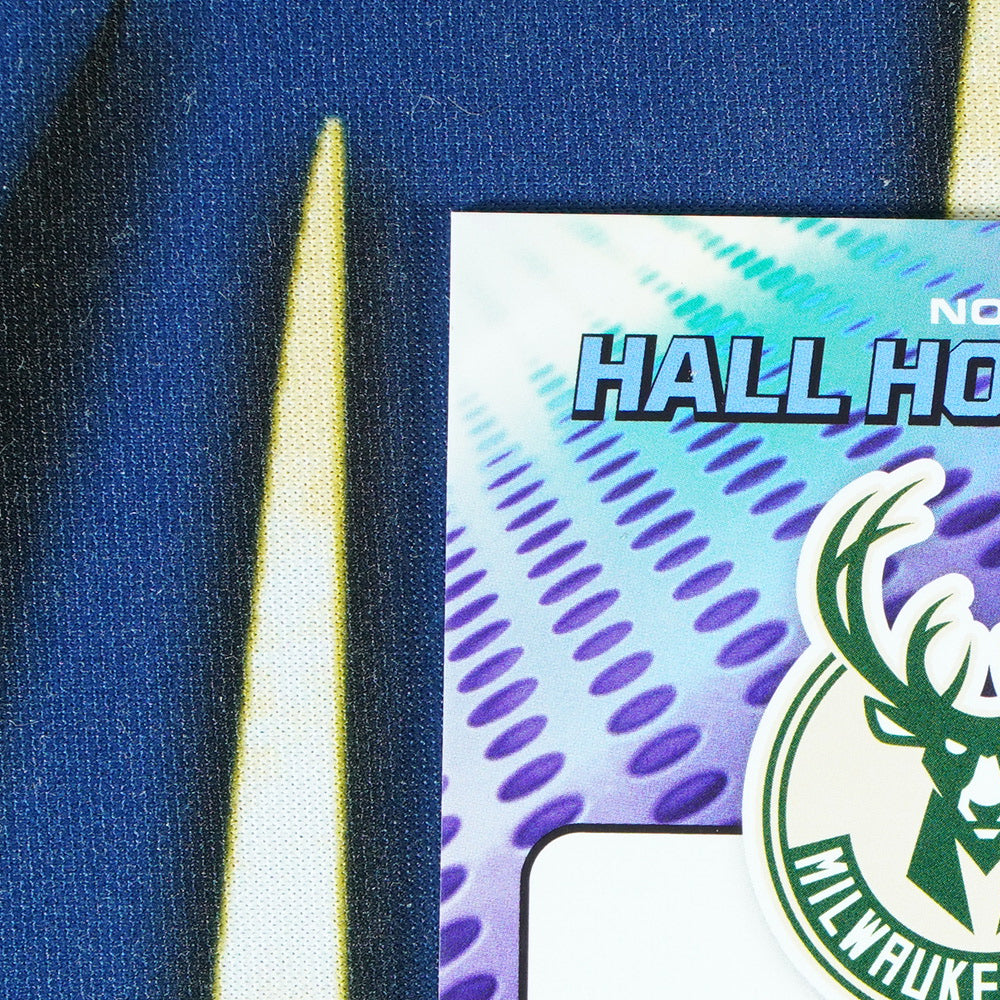 Giannis Antentokounmpo 2021-22 PANINI RECON Hall Hopefulls Gold /10 [Raw]