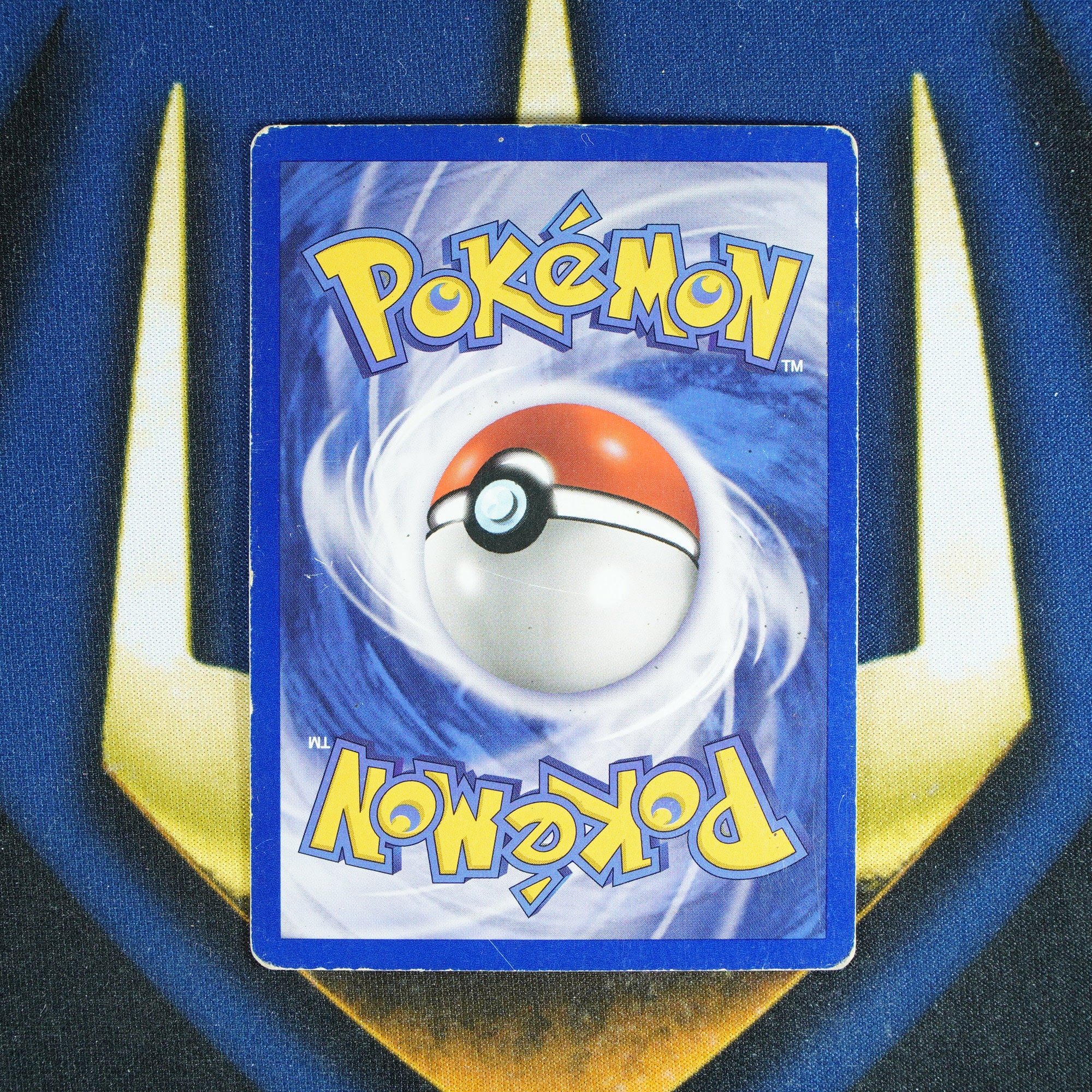 Kangaskhan JUNGLE Holo Rare 5/64 [MP]