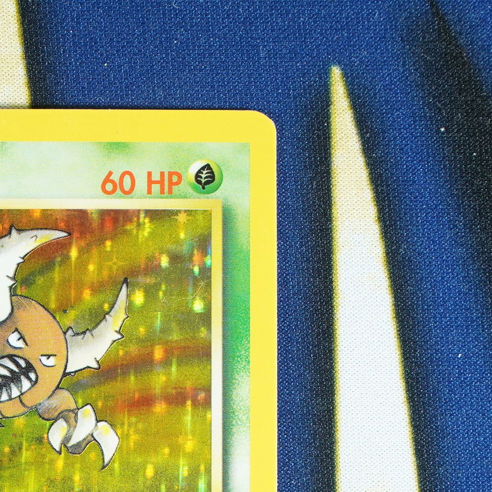 Pinsir JUNGLE Holo Rare 9/64 [LP]