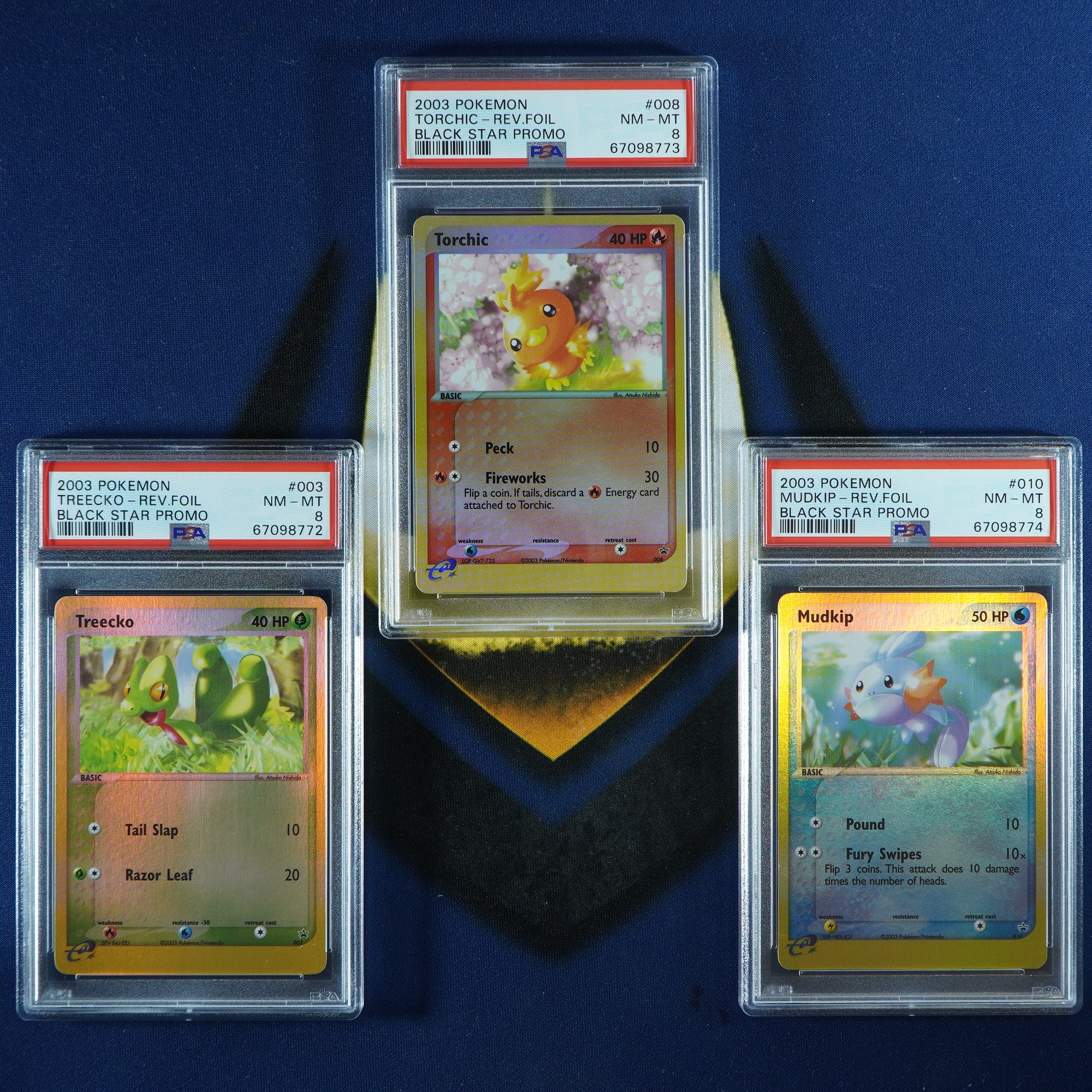 Treecko Torchic Mudkip Black Star Promo Reverse Holo 003 008 010 [PSA 8 Sequential]