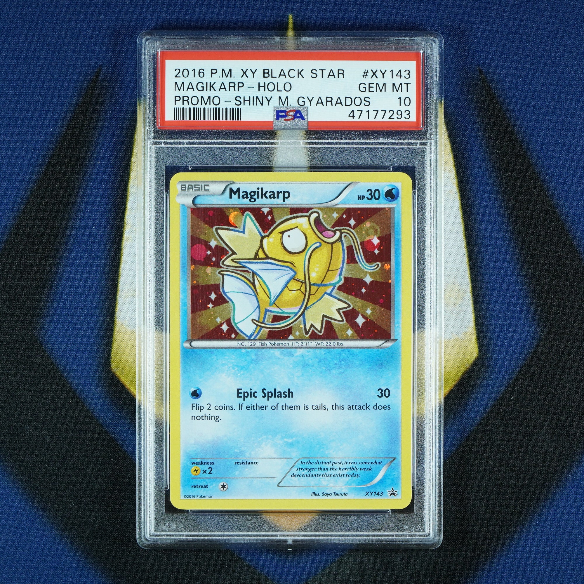 Magikarp Black Star Promo Holo Shiny Mega Gyarados XY143 [PSA 10]