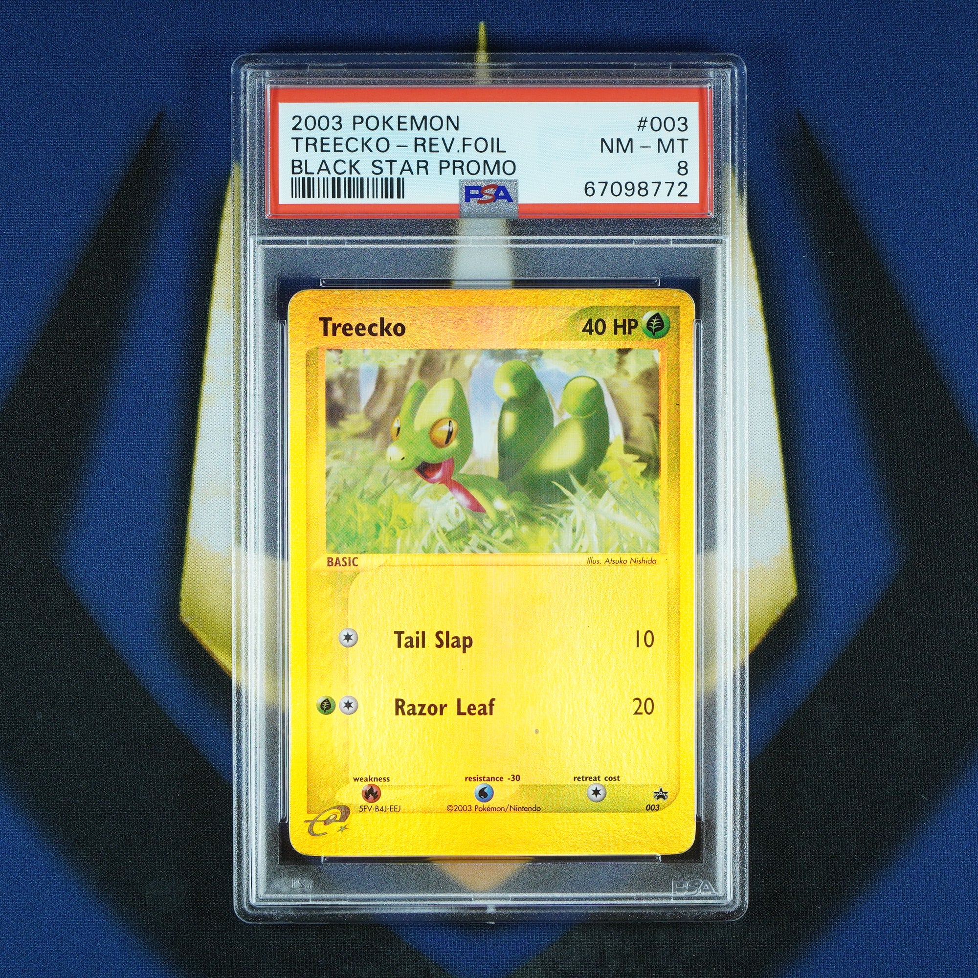 Treecko Torchic Mudkip Black Star Promo Reverse Holo 003 008 010 [PSA 8 Sequential]