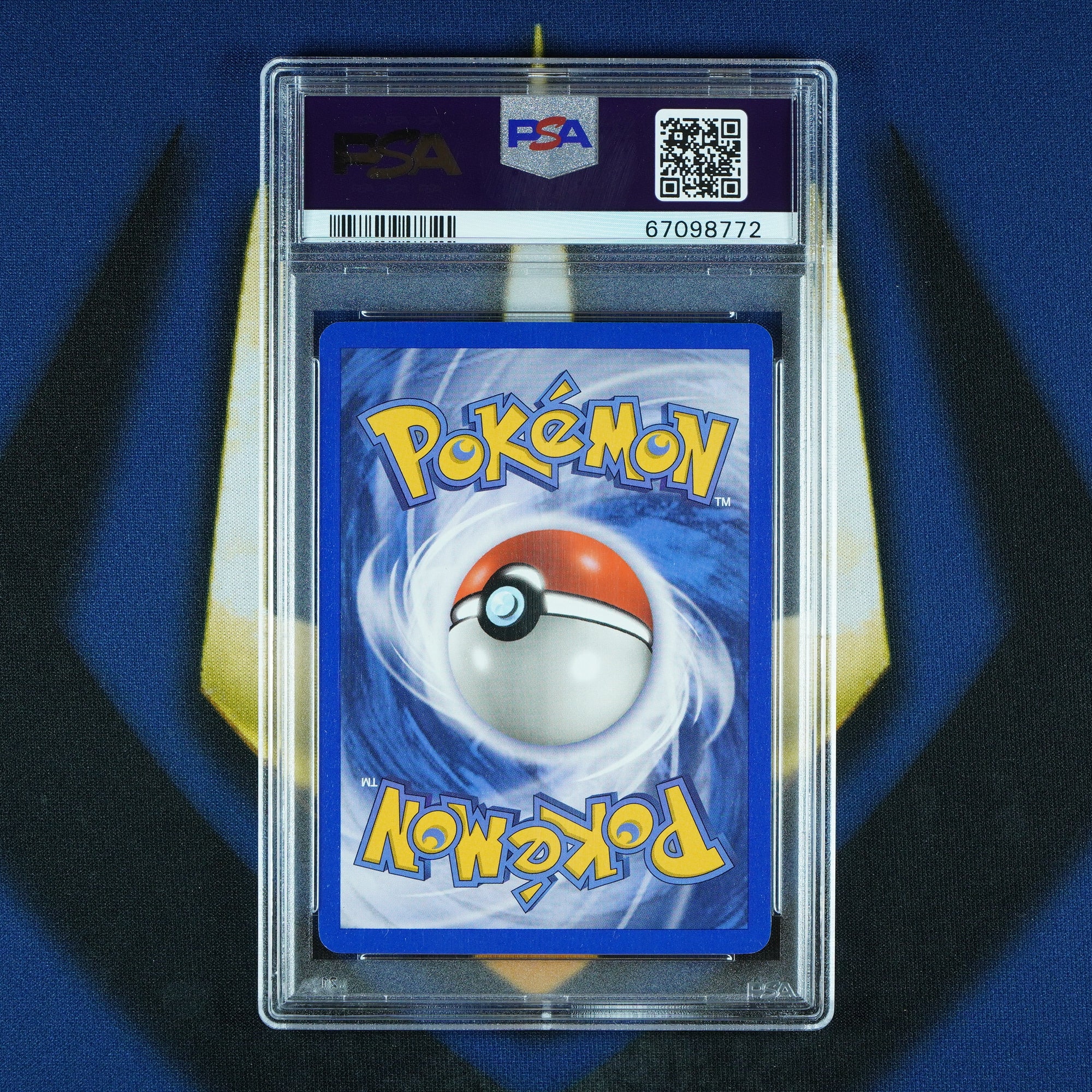 Treecko Torchic Mudkip Black Star Promo Reverse Holo 003 008 010 [PSA 8 Sequential]