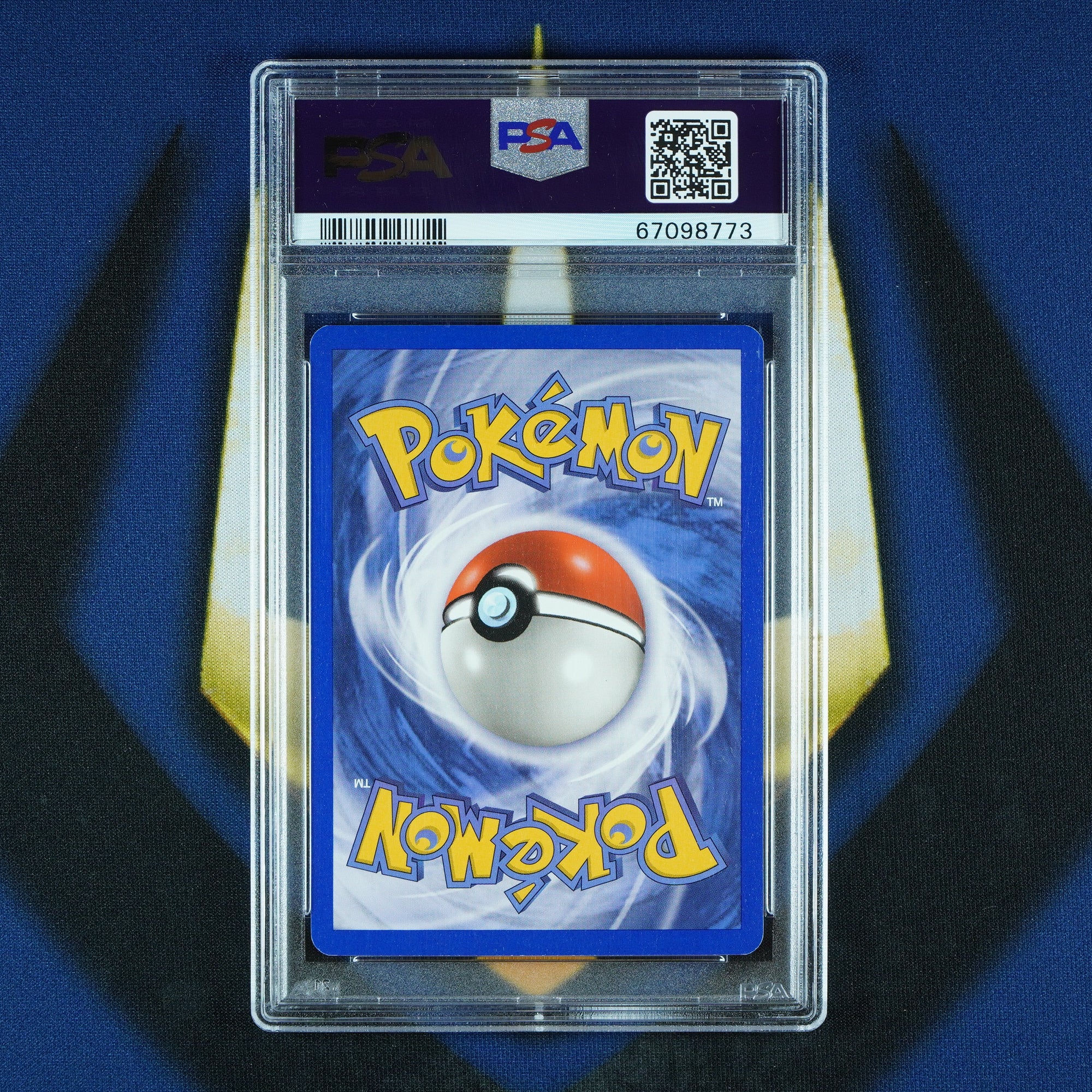 Treecko Torchic Mudkip Black Star Promo Reverse Holo 003 008 010 [PSA 8 Sequential]